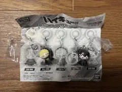 ハイキュー！！ めじるしアクセサリー