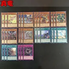 No.15678 遊戯王 真竜 デッキパーツ