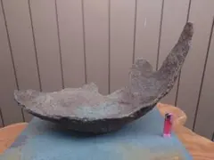 Naaaa.様 リクエスト 2点 まとめ商品