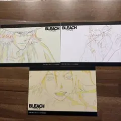 BLEACH千年血戦篇 禍進譚 先行上映会 特典 ポストカード 2枚セット
