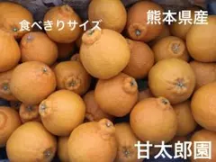 少女A様。専用です♪