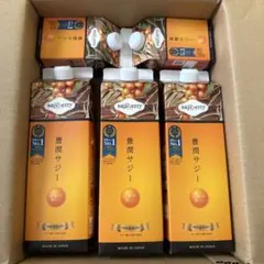 新アプリコット味！豊潤サジーアプリコット味2本含む5本セット - メルカリ