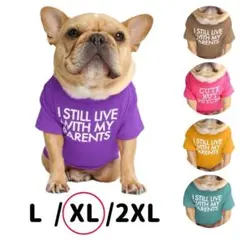 英字ロゴTシャツ　パープル　XL 　犬服　ドッグウェア　フレブル　パグ　夏服