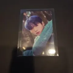 Stray Kids Stay in STAY in JEJU LeeKnow