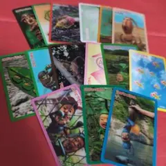 こびとづかんカード