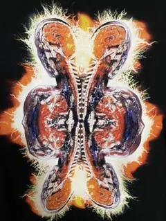 TOOL トゥール　PARABOLA バンド　Tシャツ　L