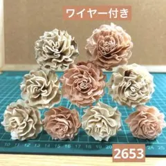 ソラフラワー　2653