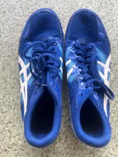 asics エフォート　26.㎝