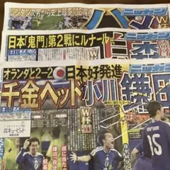日刊スポーツ　6月16日〜18日のサムネイル