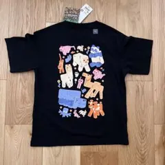 新品 130 Minecraft ユニクロ キッズTシャツ 黒
