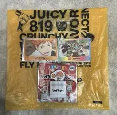 ハイキュー!! すき家 コラボカード 名言スタンプ 他4点セット 日向翔陽 烏野