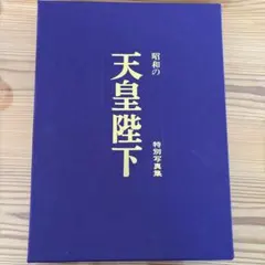 堂本剛 薬師寺 LIVE DVD 初回盤 奈良 ENDRECHERI 匿名配送 - メルカリ