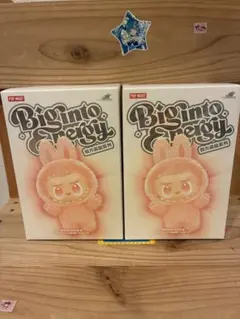 [正規品]新品未開封ラブブ 2個セット