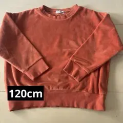 120cm 裏起毛トレーナー