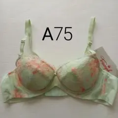 トリンプブラ単品