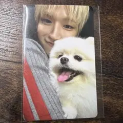boynextdoor home リウ weverse global トレカ