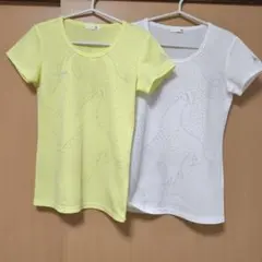 Item thumbnail for item 6d72d301-da77-4ded-a271-4a68fa886e46