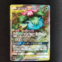 美品 フシギバナ＆ツタージャGX SM11a 066/064 SR