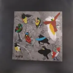 iora CD アルバム