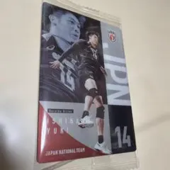 バレーボール 男子日本代表ツインウエハース 石川祐希