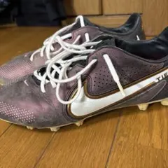 Item thumbnail for item 6cf0c43b-bdff-4ed3-88ac-cda4c3855f7f