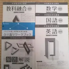 Item thumbnail for item 1573c587-8d01-4fc7-b2d1-1e02b390f8ae