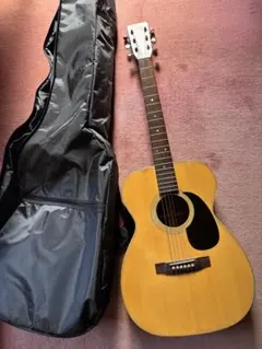 2025年最新】takamine eliteの人気アイテム - メルカリ