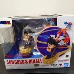 Item thumbnail for item d652e252-7b81-4396-a3cb-9dc1203460d2