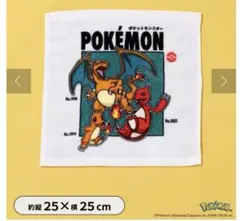 スリコ　ポケモン30周年 ミニタオル