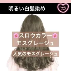 がむ様【ホワイトブリーチ剤 アディクシー イルミナカラー