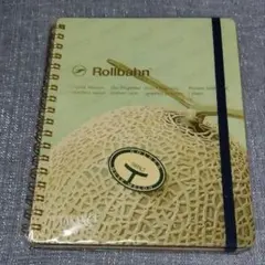 Item thumbnail for item 91fdf69f-637a-4522-a23c-aee84afad011