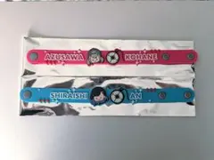 小豆沢こはね 白石杏 セカライ 5th ラバーバンド プロセカ ビビバス