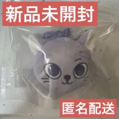 BOYNEXTDOOR プネクド　ソンホ　フェイスキーリング