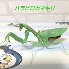 カマキリ カプセルトイ