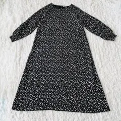 earth music&ecology フリーサイズ花柄長袖ロングワンピース