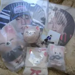 値下げ　StrayKids　SKZOO　I.N FoxI.Ny 10cm セット