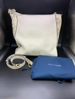 美品　COLE HAAN コールハーン　2WAYレザーバッグ　パイソン柄のサムネイル