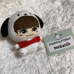 FANTASTICS ポチャッコ ミニぬいぐるみ 佐藤大樹 - メルカリ