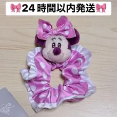 ディズニーストア ミニー シュシュ　ぬいぐるみ付き　ミニーの日　アイドルミニー