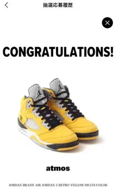 【新品未試着】Air Jordan 5 Retro Yellow(2025)