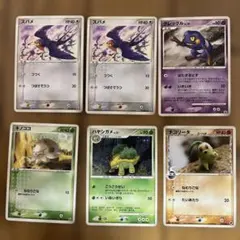 ポケモンカード　ハヤシガメ、チコリータ他
