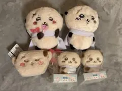 ラッコさんまとめ売り