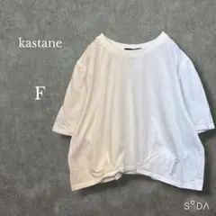 ♡カスタネ【F】刺繍半袖Tシャツ カットソー ショート丈 ホワイトのサムネイル