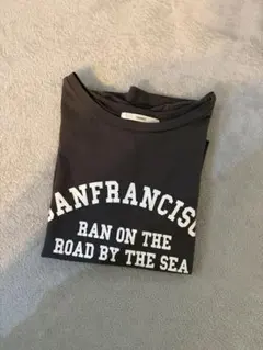 チャオパニック　Tシャツ　半袖　ロゴ