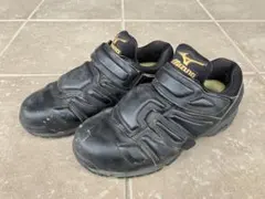 Item thumbnail for item 74ada7a8-2cfd-4e8c-8f53-7cd767a79150