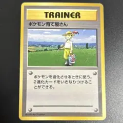 2026年最新】ポケモンカード 旧 ポケモン育て屋さんの人気アイテム