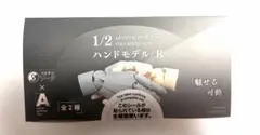 1/2 ハンドモデルR