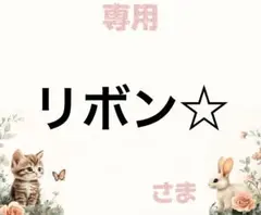 専用