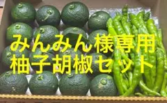 みんみん様専用　柚子胡椒セット