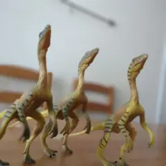 コンピー　3体セット